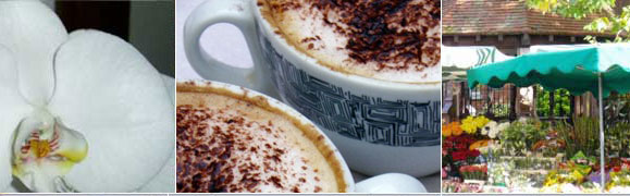 Image 1:Close up of white orchid flower. Image 2: Crop of a cappuccino in mug. IMage 3: Flower stall with array of brightly colored flowers.